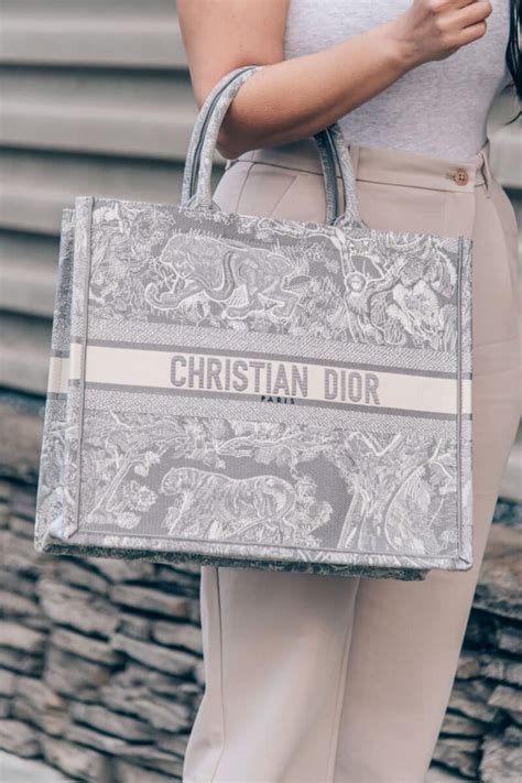 christian Dior book bag dupe